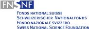 logo-snf.jpg